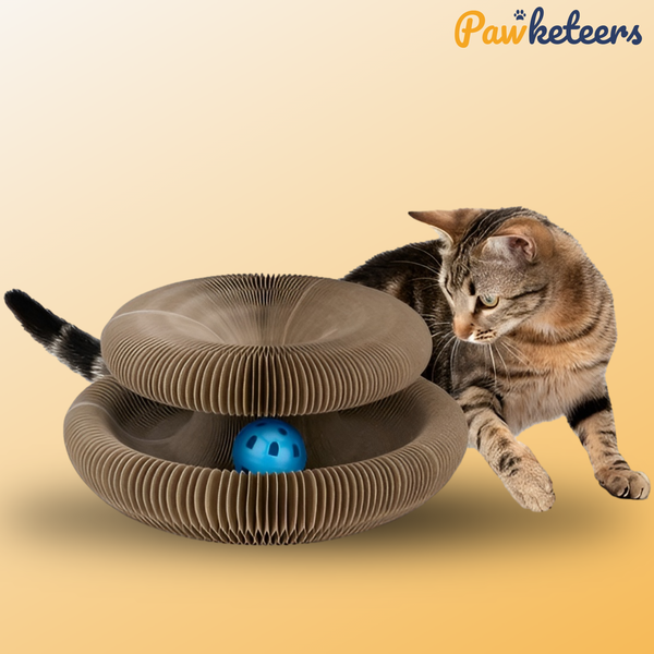 ScratchCocoon